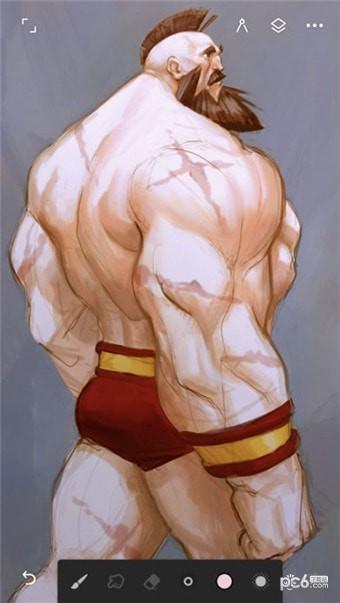 painter官方版 v4.5.1