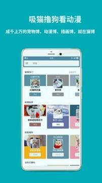 猫博 v3.2.4
