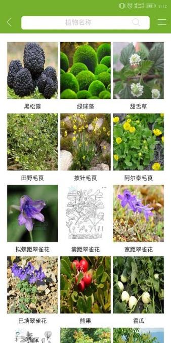 植物网 v3.3.4