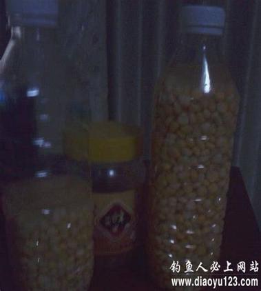 钓鱼人最新版 v5.4.3