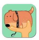 宠物训养小课堂