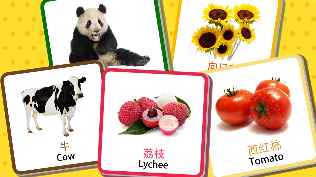 宝宝早教识字卡 v3.0.3