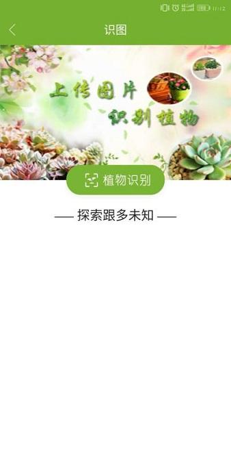 植物网 v3.3.4