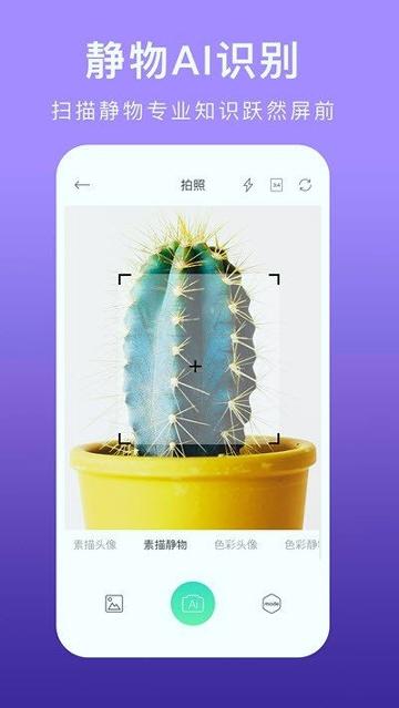 美术拍 v6.0.2