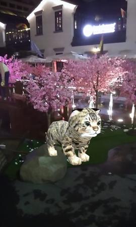 ar宠物相机 v5.1.4