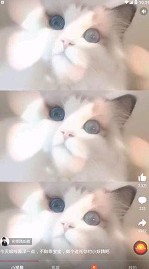 趣多多短视频 v3.0.4