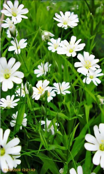 相机时间戳 v6.2.1