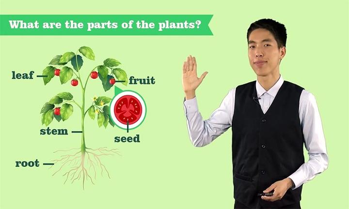 VIPChild少儿国际班教学 v5.5.1