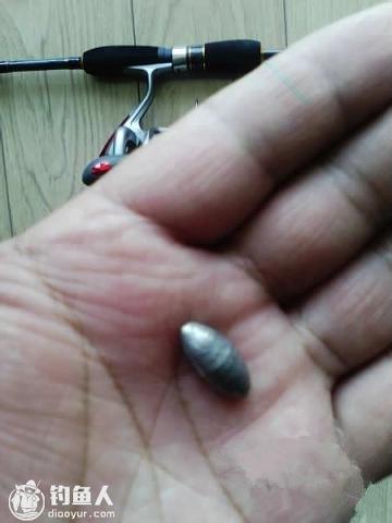 钓鱼人最新版 v5.4.3