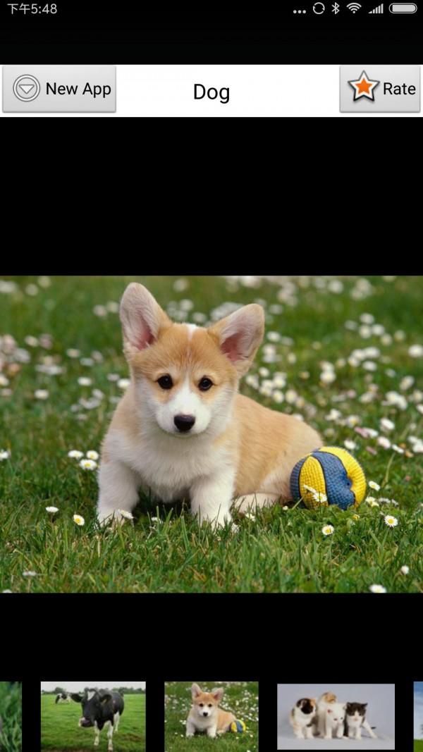 学动物叫声 v4.4.1