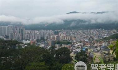 诚通驾校（未上线） v3.1.3