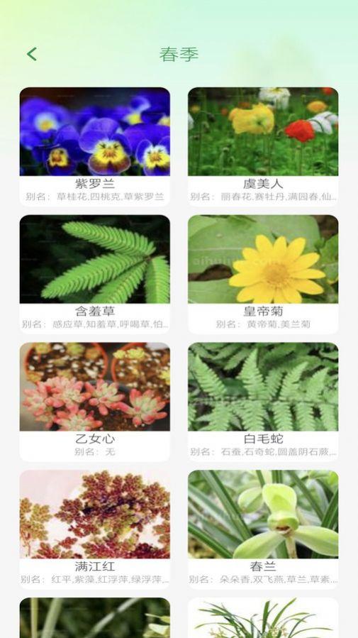 妙看四季安卓客户端下载 v1.0.0 v4.3.1