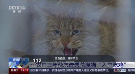 高清TV影视软件官方下载 v1.0.1 v4.1.2