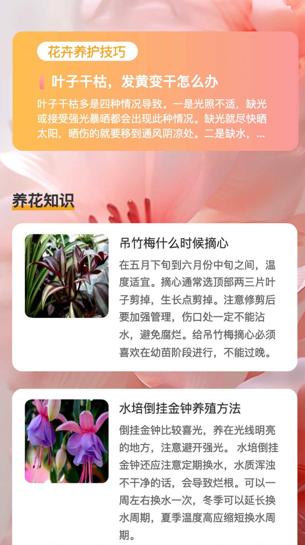 花蕊看看app手机版下载 v1.0.1 v6.3.2