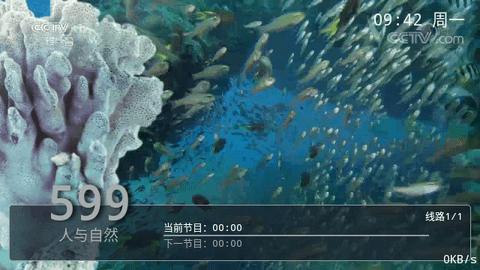 看个球TV电视版隐藏频道下载 v9.9.9.9 v5.0.2