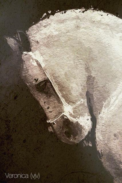 红外相机透视软件app v1.5 v3.1.2