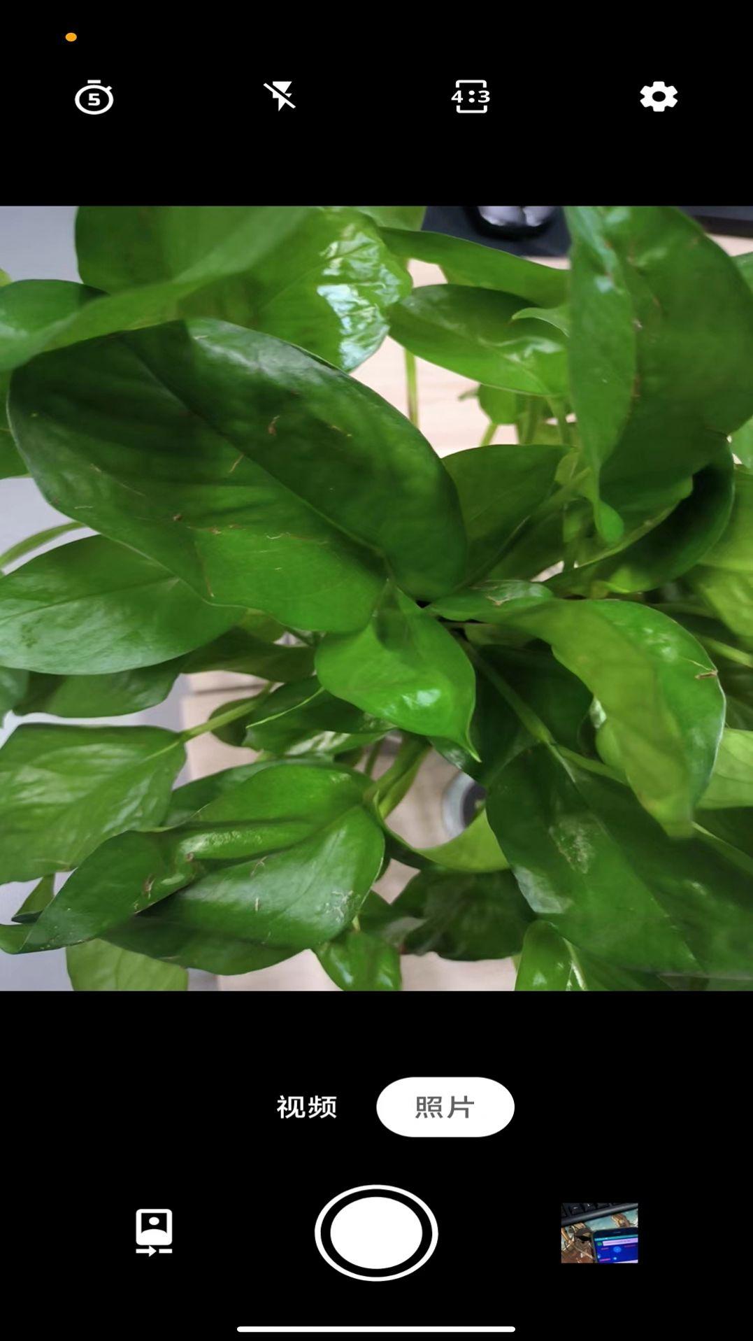 亚甜相机软件官方下载 v1.0.0 v4.3.4