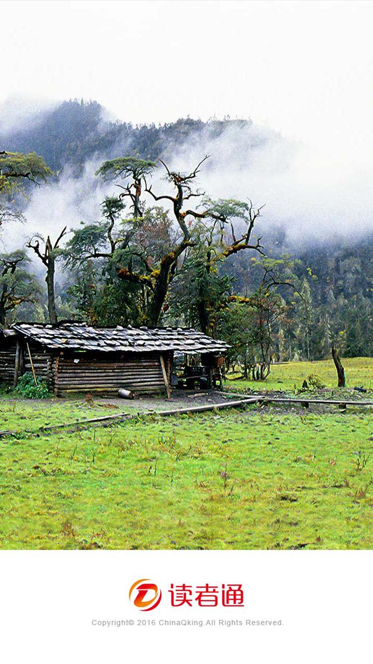 读者通app下载手机版 v1.5.5.0 v3.3.2