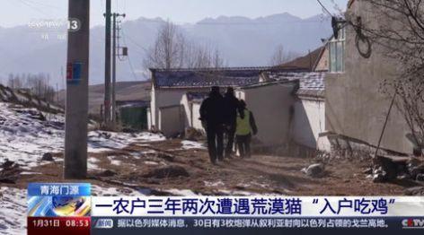 高清TV影视软件官方下载 v1.0.1 v4.1.2