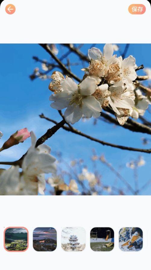 全民拍照大师官方手机版下载 v1.0 v6.0.2