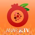 anar云tv电视版官方免费下载 v1.0
