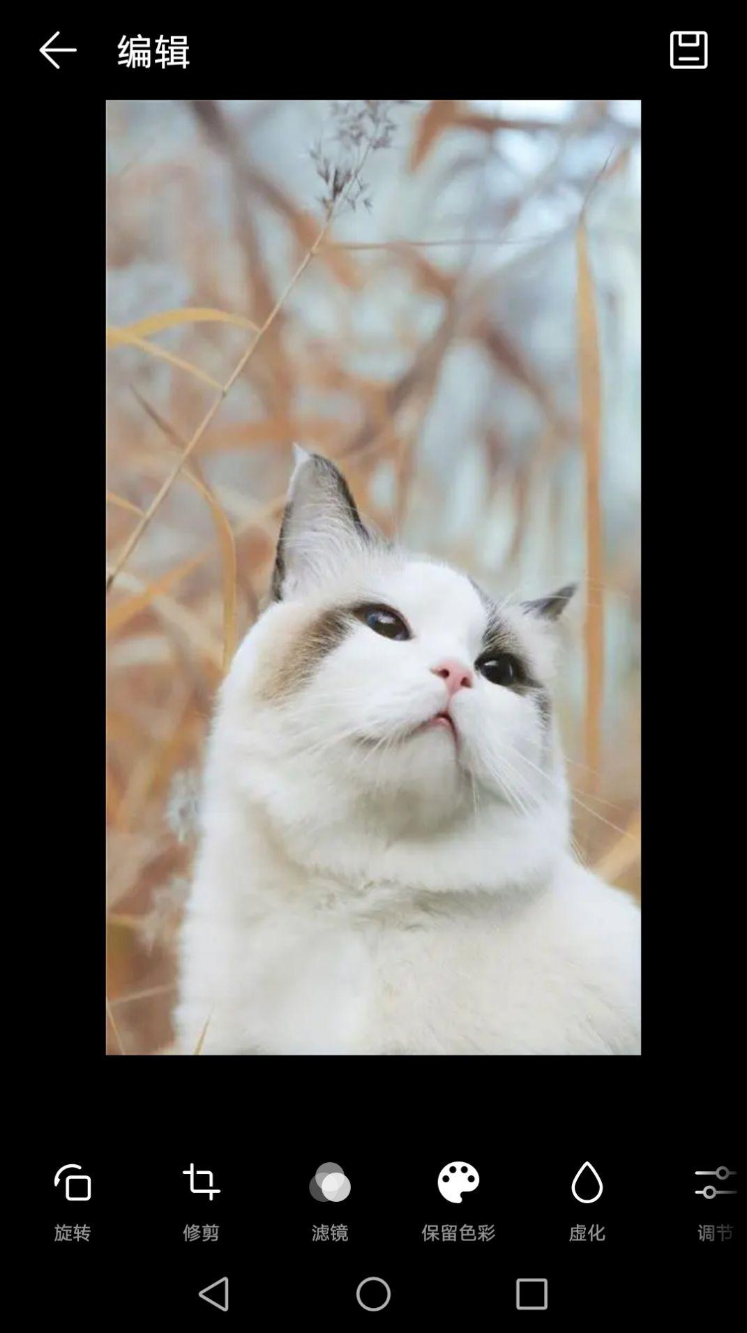 双祥相册手机客户端下载 v6.28.1 v4.5.1