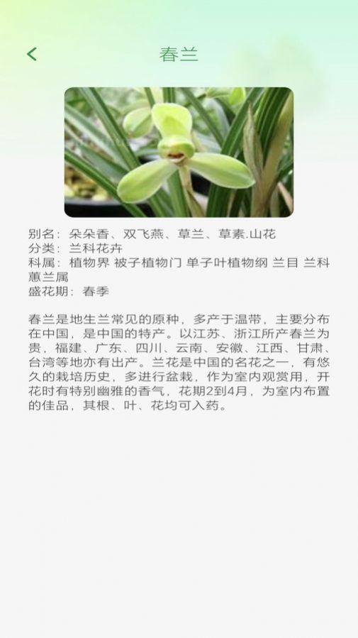 妙看四季安卓客户端下载 v1.0.0 v4.3.1