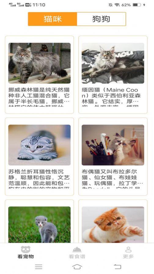 奇趣爱看软件手机版下载 v2.3.4.2 v5.0.4