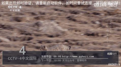 Pn播放器盒子版安卓版官方下载app v1.0 v5.3.4