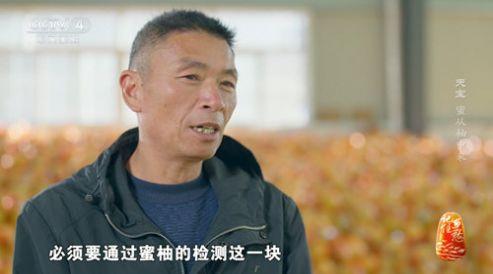 新际tv电视版官方下载 v7.2.00.1130 v3.5.3