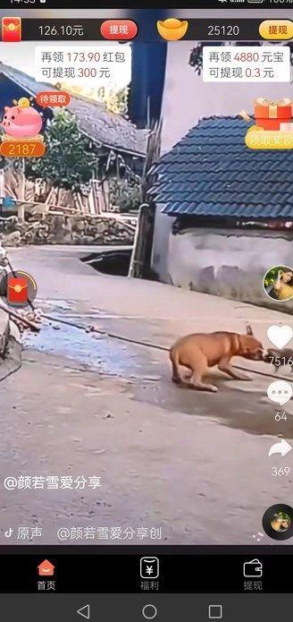 墨橙橙短视频最新手机版下载 v1.0.1 v5.3.4