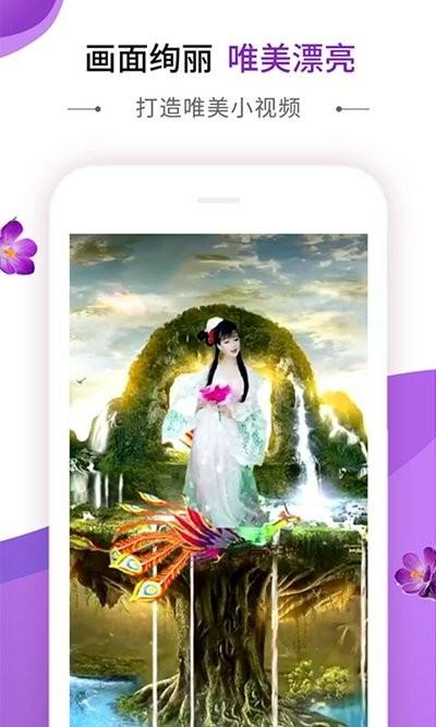 动感秀软件 v4.3.2