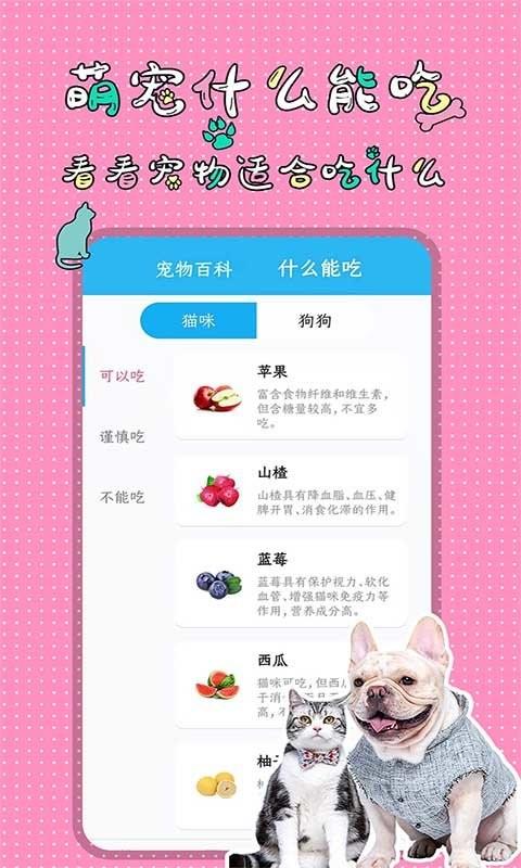人猫人狗翻译交流器app v3.4.4