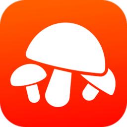 菌窝子app