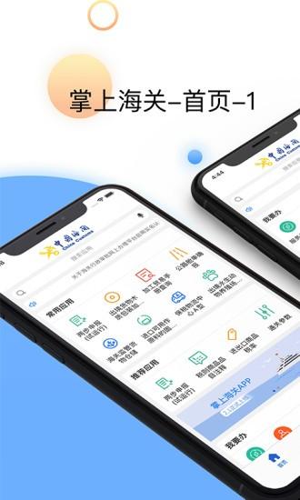 掌上海关app v5.4.1