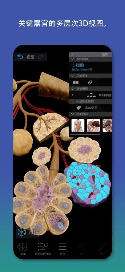 Atlas人体解剖学图谱2026 v6.0.2