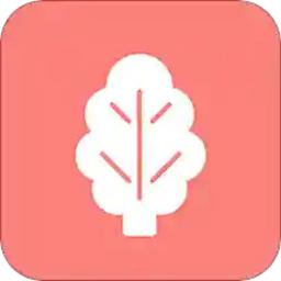 菠菜管理app