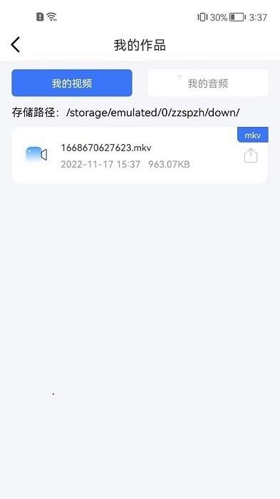 转转大师视频转换器 v3.3.3