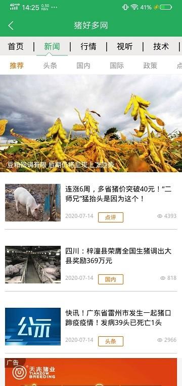 猪好多网app v4.1.3