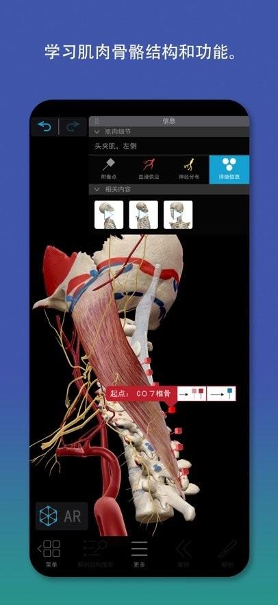 Atlas人体解剖学图谱2026 v6.0.2