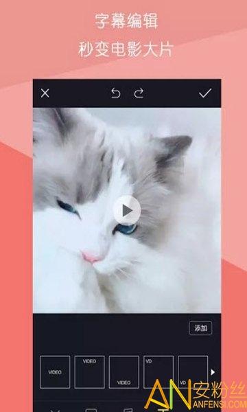 视频拼接王app v4.3.1