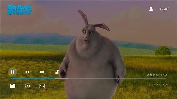 jellyfin电视盒子版 v5.4.2