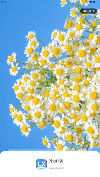 冷心口袋2025最新版本 v3.0.2