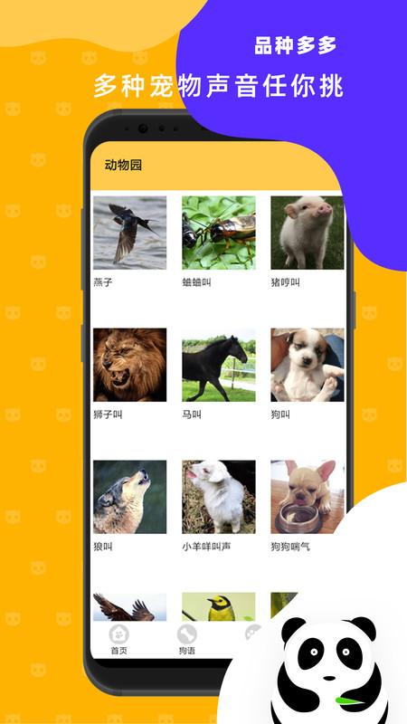 猫狗翻译神器app v3.0.3