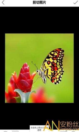 抠图p图大师app v3.4.4