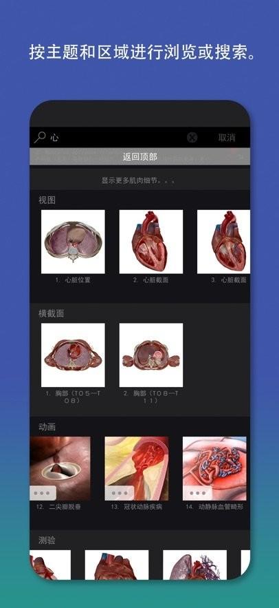Atlas人体解剖学图谱2026 v6.0.2