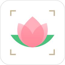 识花app