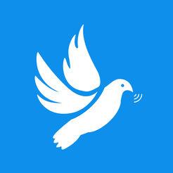 飞鸽互联2025年最新版本