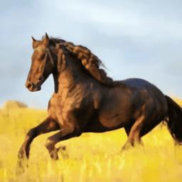 你的电视TV新版软件