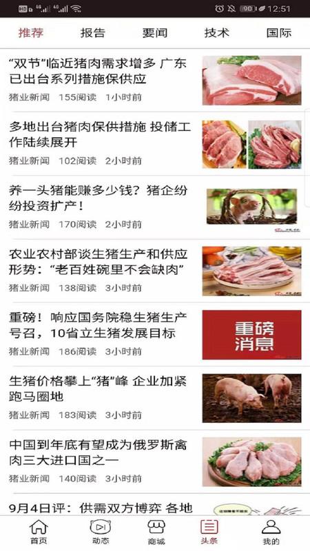 金猪app官方版 v6.5.4